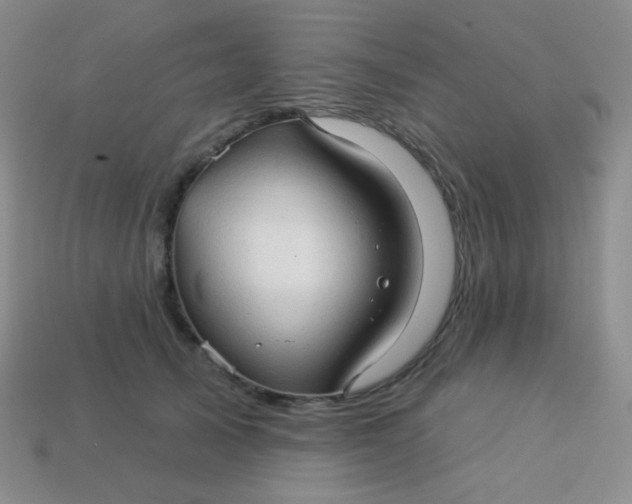 X0000113610705200910091542