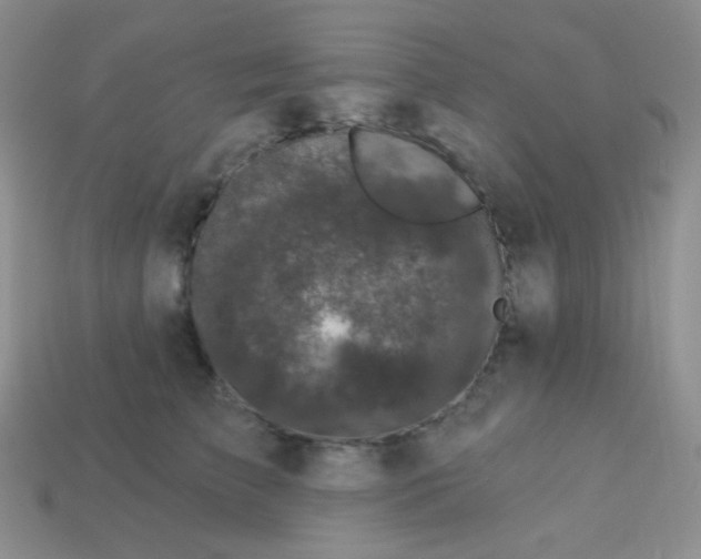 X0000113610709200910091542