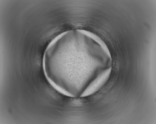 X0000113610710200910091542