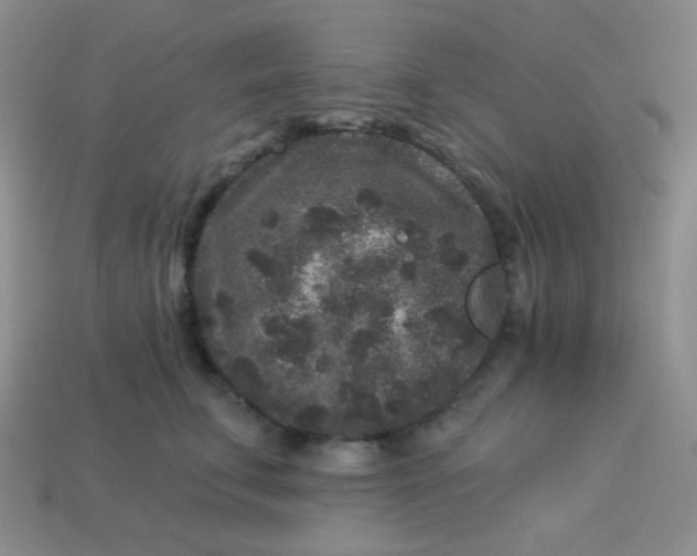 X0000113610711200910091542