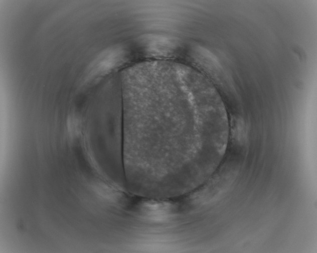 X0000113610712200910091542