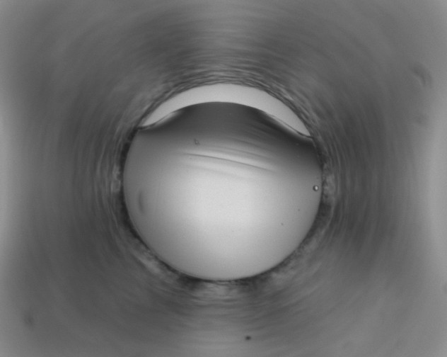 X0000113610713200910091542