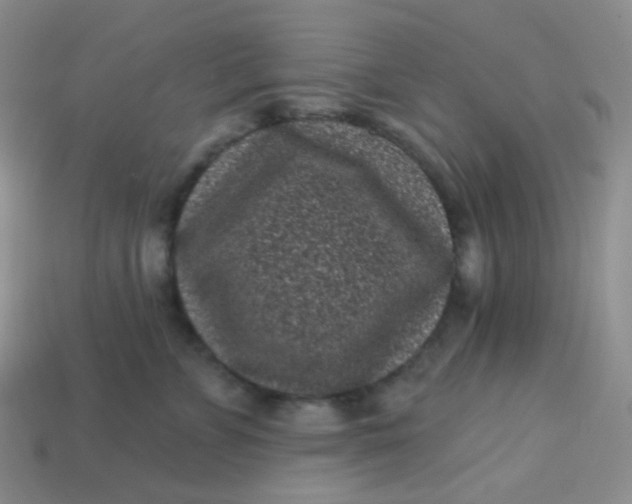 X0000113610715200910091542