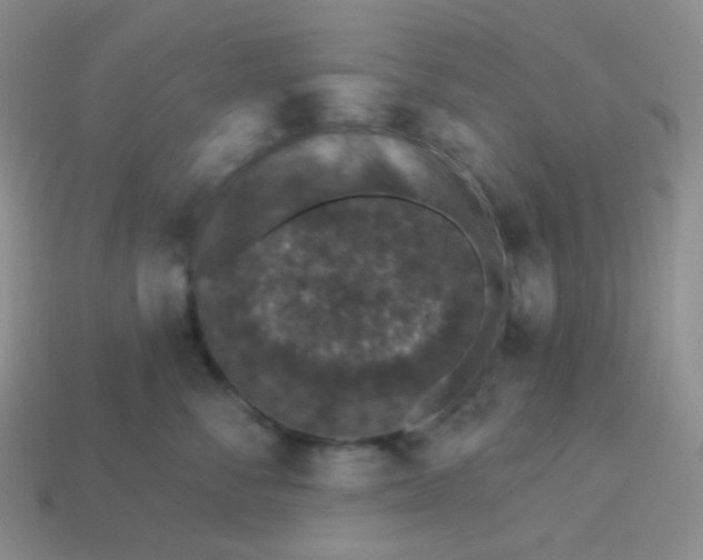 X0000113610716200910091541