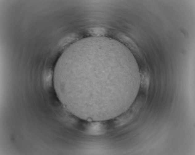 X0000113610717200910091541