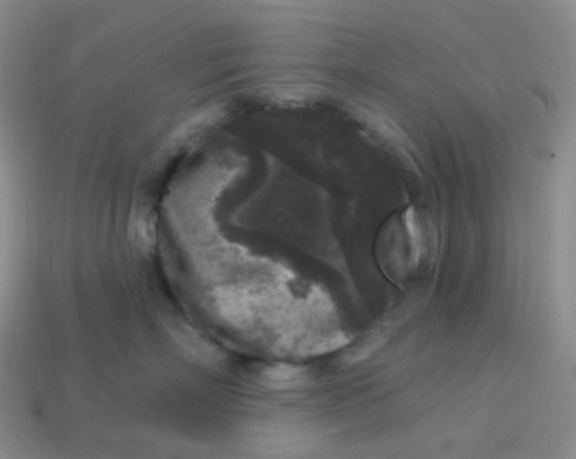 X0000113610718200910091541