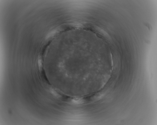 X0000113610720200910091541