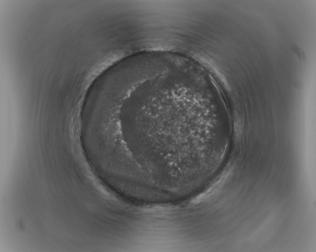 X0000113610721200910091541