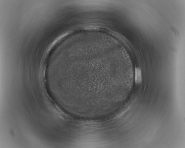 X0000113610723200910091541