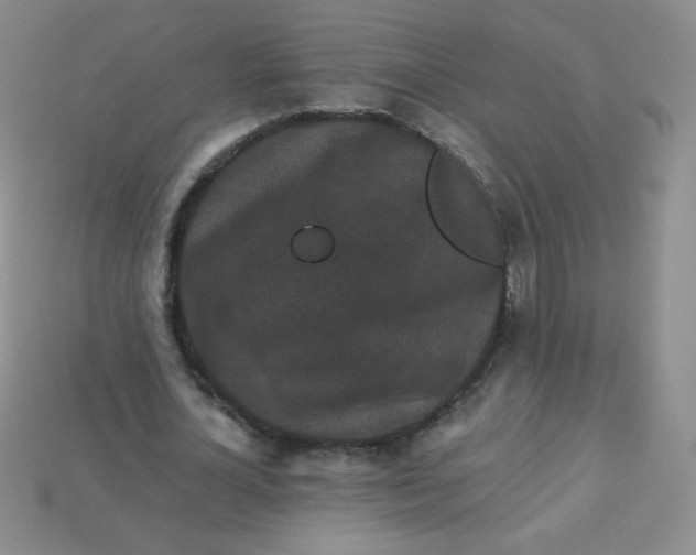 X0000113610724200910091541