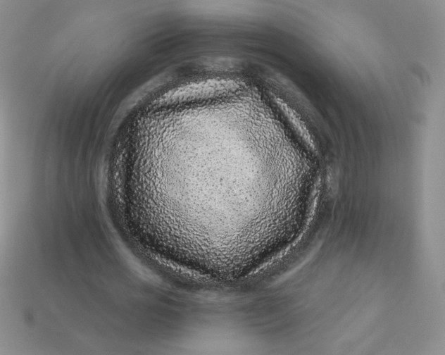 X0000113610725200910091541