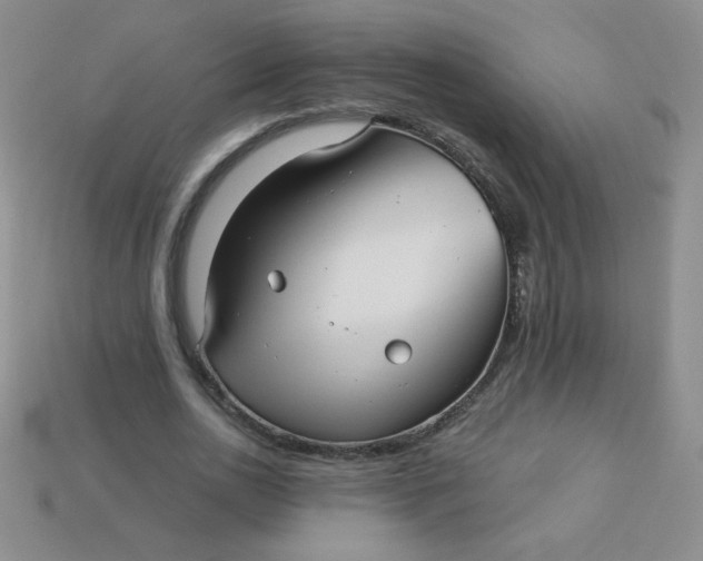 X0000113610726200910091541