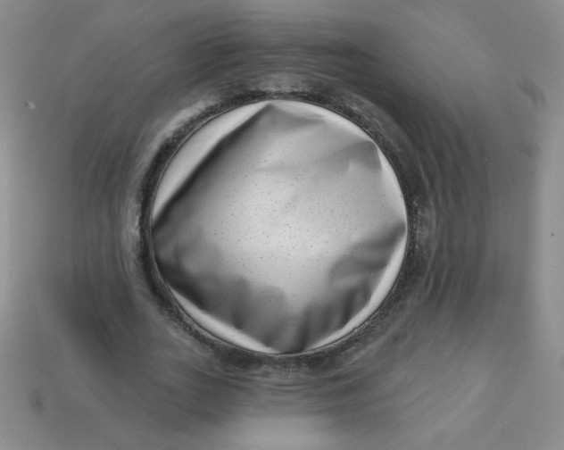 X0000113610727200910091541