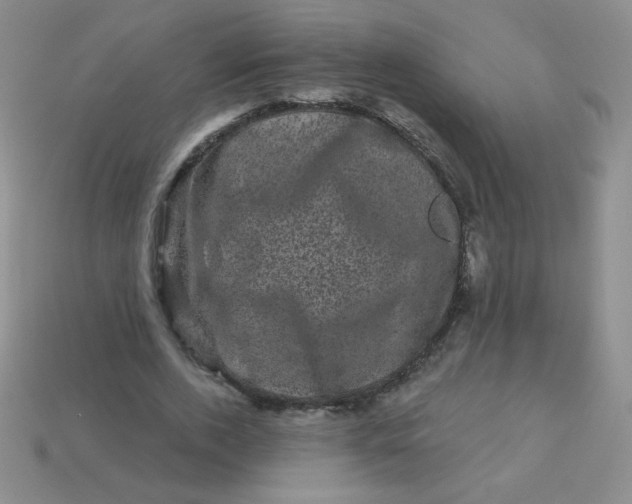 X0000113610728200910091541