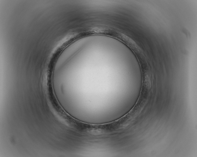 X0000113610730200910091541