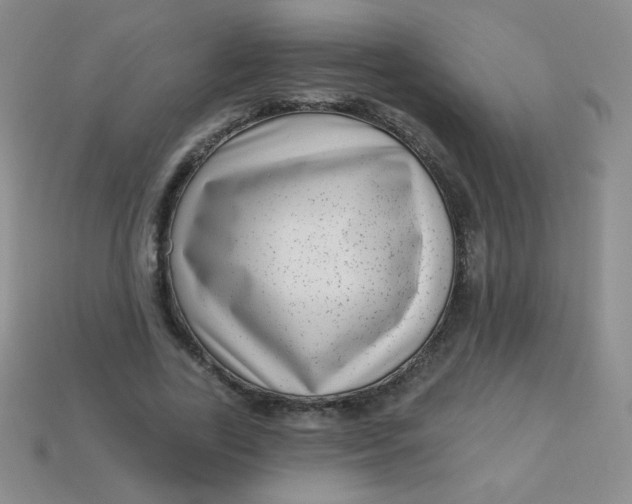 X0000113610731200910091541