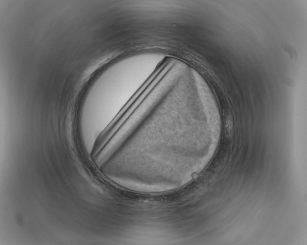 X0000113610732200910091541