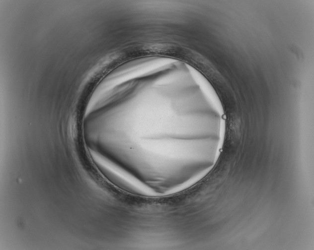 X0000113610734200910091541