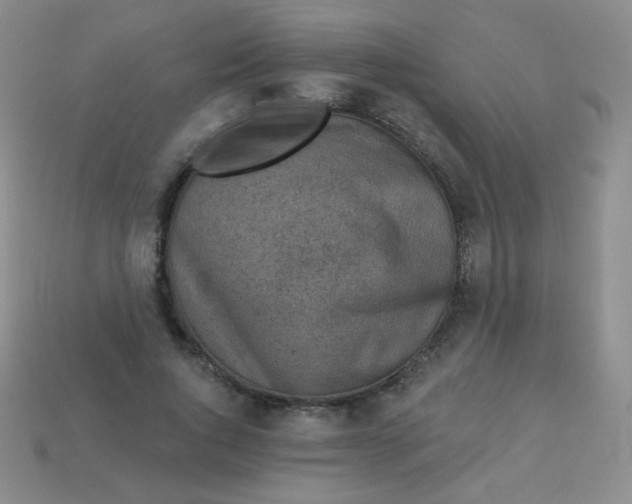 X0000113610736200910091541