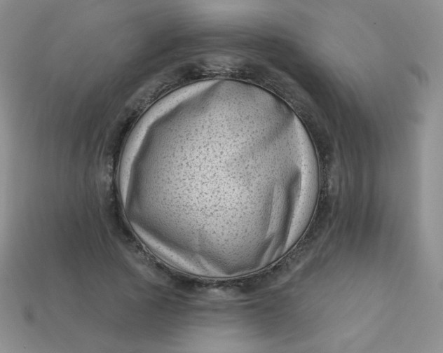 X0000113610737200910091541