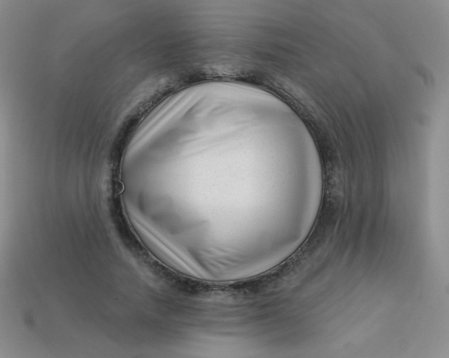 X0000113610738200910091541