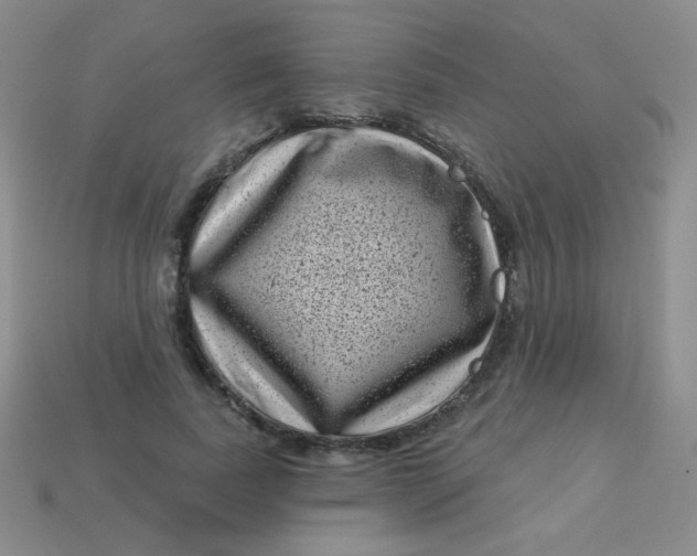 X0000113610739200910091541