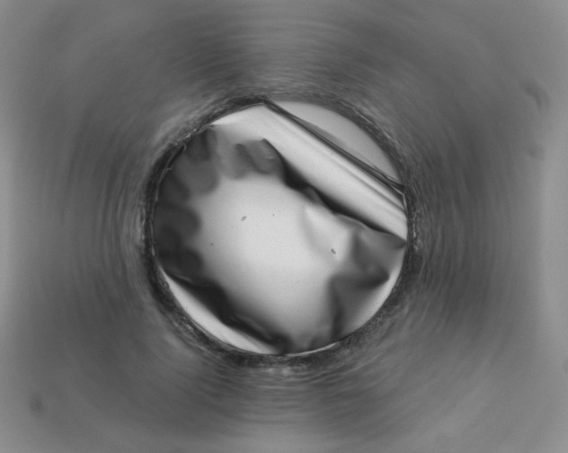 X0000113610740200910091541