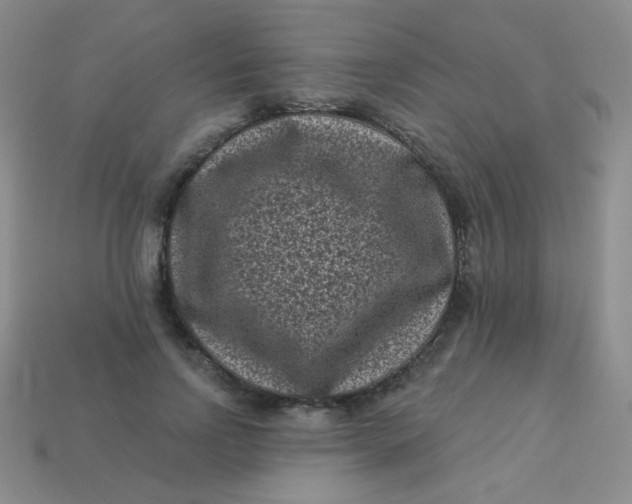 X0000113610742200910091541