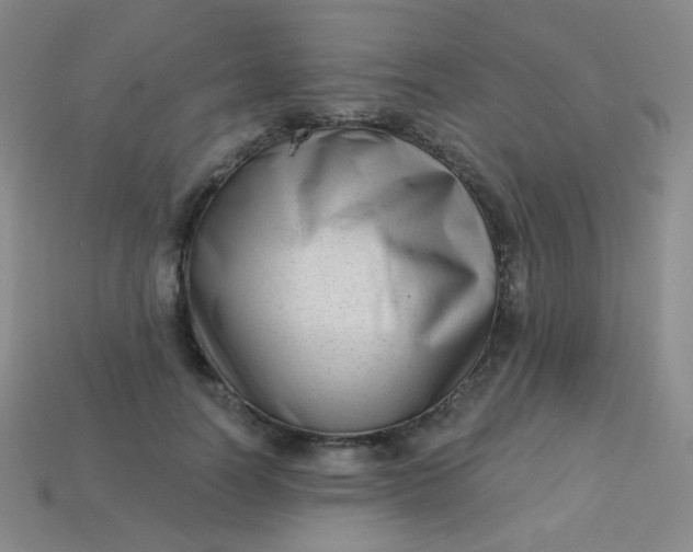 X0000113610746200910091541