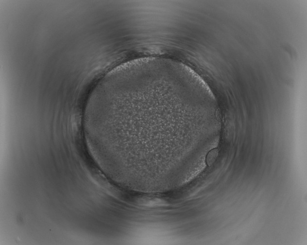 X0000113610747200910091541