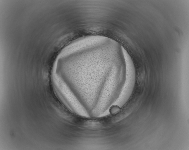 X0000113610749200910091541