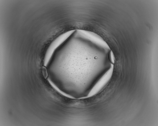 X0000113610750200910091541