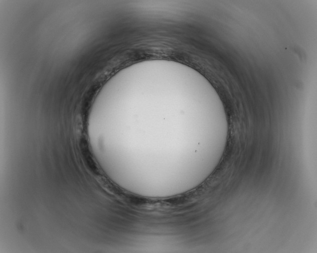 X0000113610752200910091541