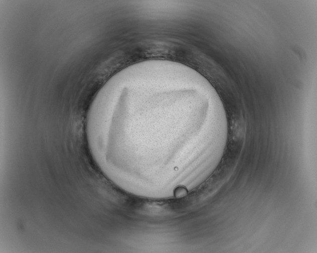 X0000113610753200910091541