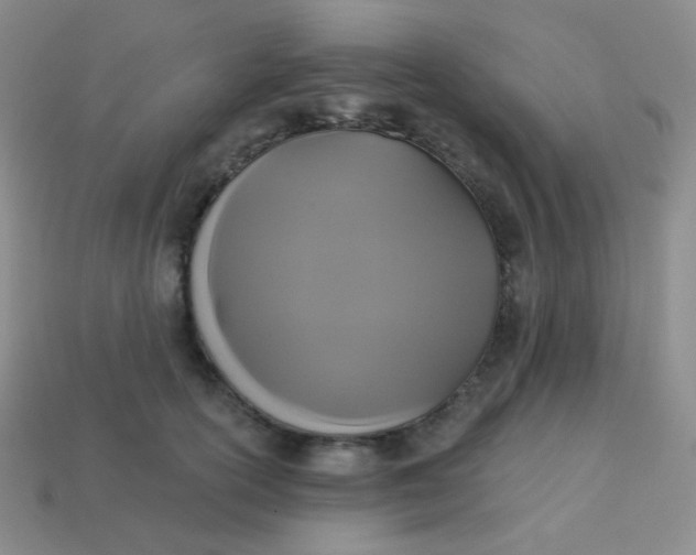 X0000113610754200910091541