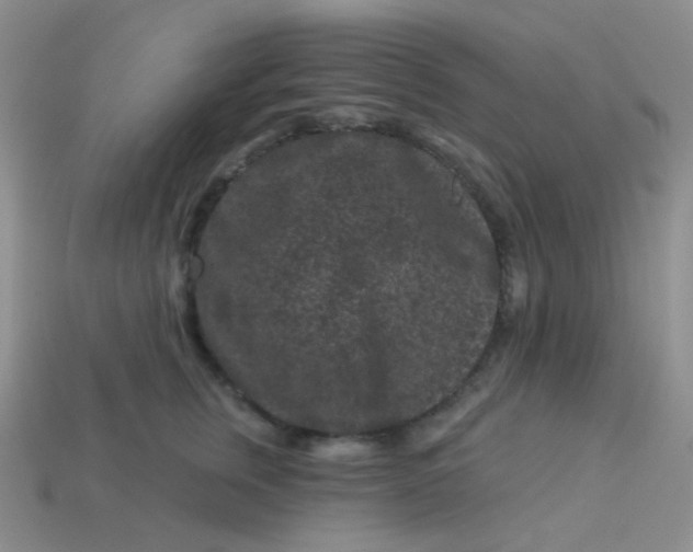 X0000113610759200910091541