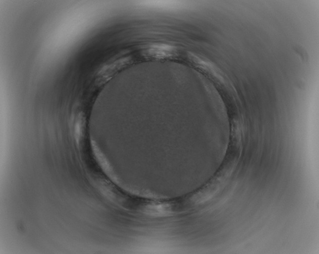 X0000113610760200910091541