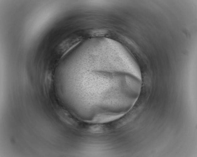 X0000113610761200910091541