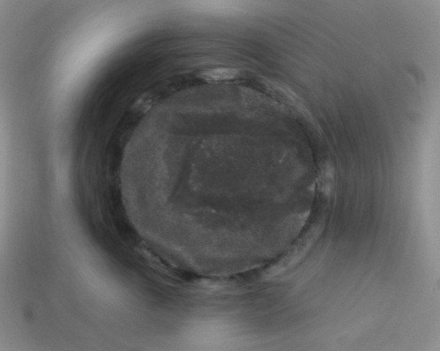 X0000113610763200910091541