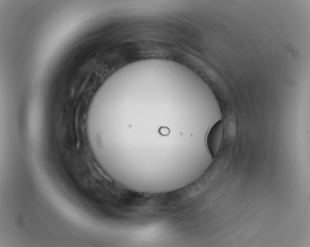 X0000113610764200910091541