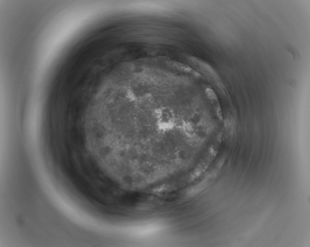 X0000113610765200910091541