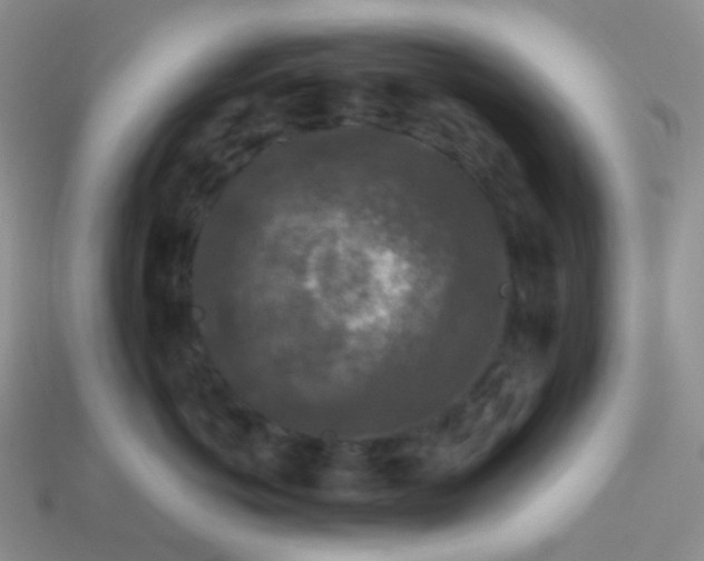 X0000113610766200910091541