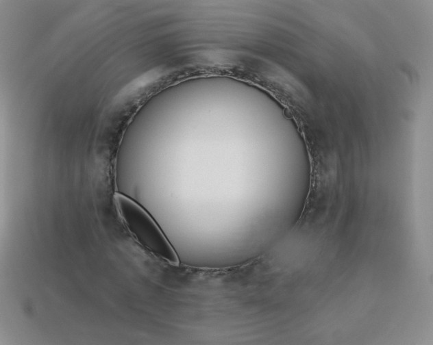 X0000113610773200910091541