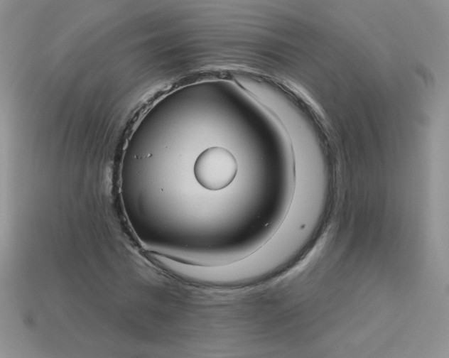 X0000113610777200910091541