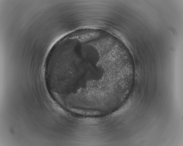 X0000113610779200910091541