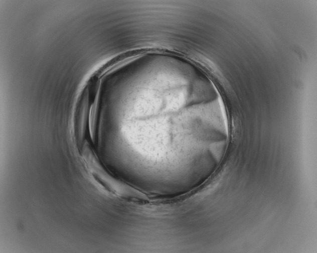 X0000113610780200910091541