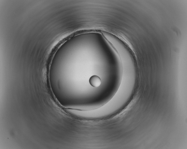 X0000113610781200910091541