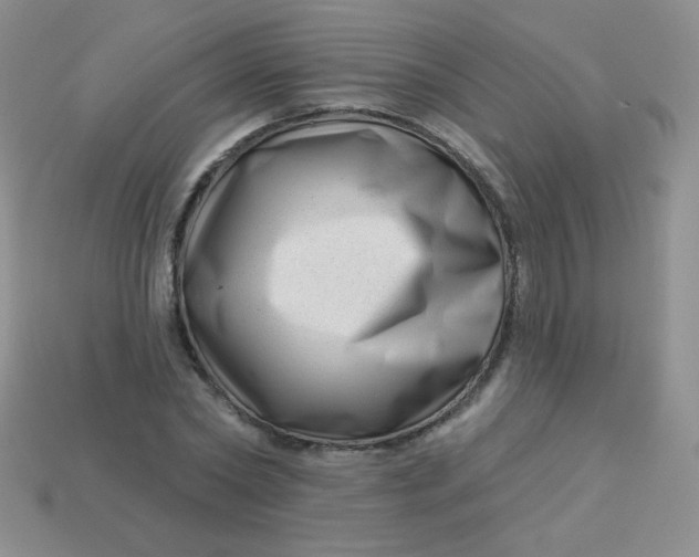 X0000113610782200910091541