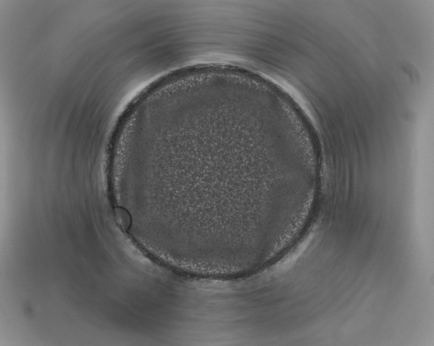 X0000113610783200910091541