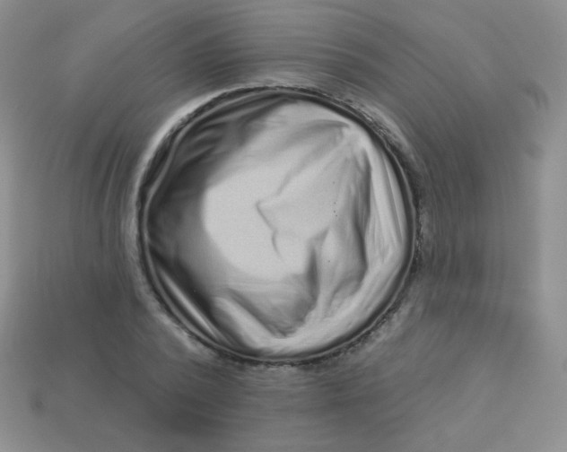 X0000113610784200910091541